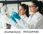 Two young female geneticists looking in plant samples.Agricultural laboratory.