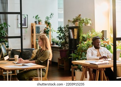 Two Young Intercultural Designers Working In Front Of Computers While Sitting By Desks In Openspace Office With Many Green Plants