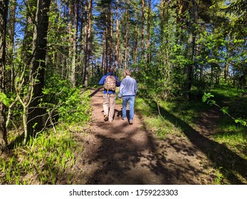 Two Young Men Confidently Walking In The Park In The Daytime. Rear View Photo.