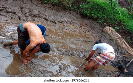 two young men are looking for leftover fish in a traditional pond after being harvested