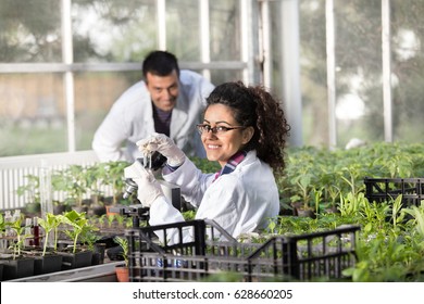 Two young smiling engineers working in greenhouse with sprouts. Plant protection and care concept - Powered by Shutterstock