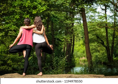 Two Young Women Stand Side By Side Outdoors On A Large Fallen Tree, And Find Balance Through The Practice Of Partner Yoga. They Support And Lean On Each Other During Double Tree Pose Or Dvi Vrksasana.