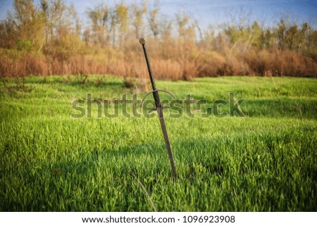two-handed sword in the ground, against the background of a green field, sky and trees.
