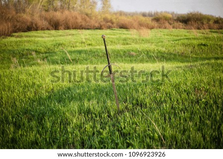 two-handed sword in the ground, against the background of a green field, sky and trees.
