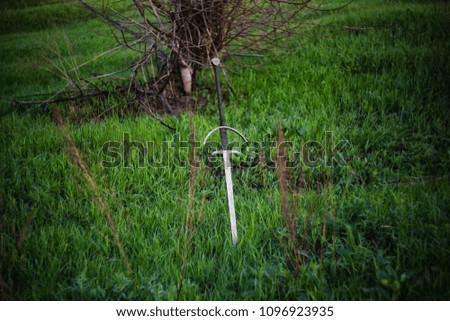 two-handed sword in the ground, against the background of a green field, sky and trees.
