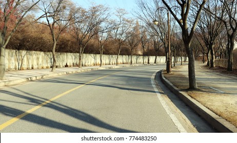 A two-lane road and trees