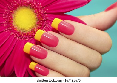Two-tone manicure with pink and yellow varnish with flower gerbera on a blue background.