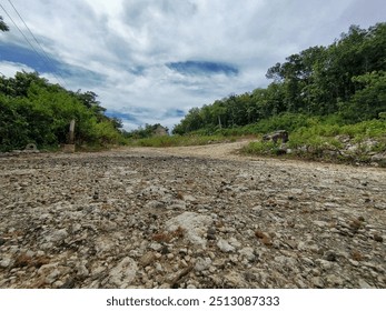 a two-way dirt road surrounded by trees and bushes. The sky was clear with white clouds floating by. - Powered by Shutterstock