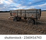 a two-wheel trailer full of grain stands in a harvested field. harvested food saves lives around the world. the risk of rodents, drought and flooding on crop size