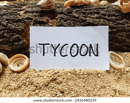 Tycoon writting on beach sand background.