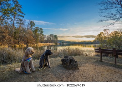 Tyler State Park