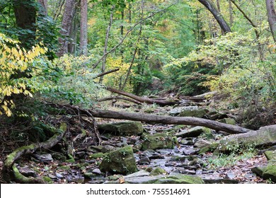 Tyler State Park