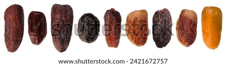 Types of dates, varieties of dates isolated on a white background. Different types on sizing and species of date palms.