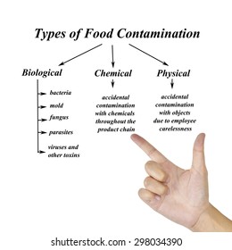 Types Of Food Contamination Image For Use In Manufacturing(Training And Presentation )