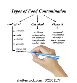 Types Of Food Contamination Image For Use In Manufacturing (Training And Presentation )