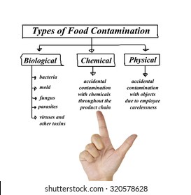 Types Of Food Contamination Image For Use In Manufacturing (Training And Presentation )