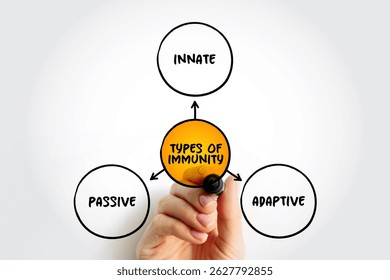 Types of immunity mind map text concept for presentations and reports
