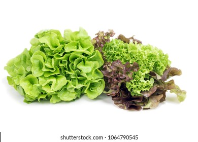 6,029 Types of lettuce Images, Stock Photos & Vectors | Shutterstock