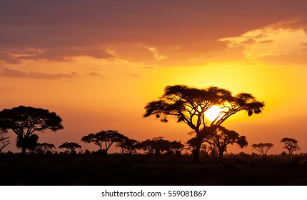 African Safari Landscape Images Stock Photos Vectors Shutterstock