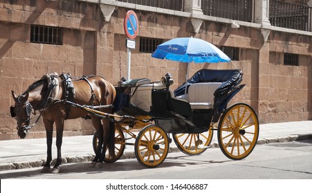 Typical Andalusian Horse Car.