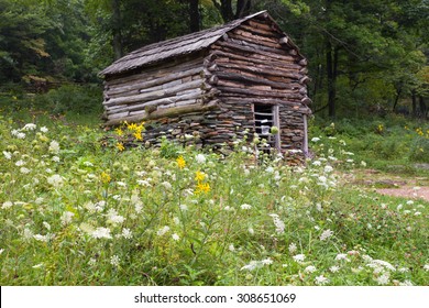 Typical Appalachian Log Cabin With Wildflowers