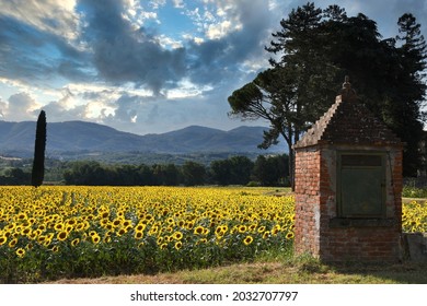 Typical artesian well in the Tuscan countryside with Beautiful field of blooming sunflowers and blue cloudy sky.