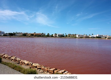 Typical Balearic Expanse Of A Pink Salt Flat In The Natural Reserve In Formentera