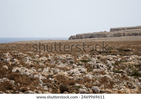 Similar – Image, Stock Photo Typical, barren landscape in southwest Iceland with bare mountains in solitude
