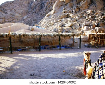 54 Typical Bedouin Tent Images Stock Photos Vectors Shutterstock   Typical Bedouin Tent Where You 260nw 1420434092 