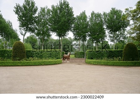 Similar – Image, Stock Photo The famous Lipizzan horse return from pasture to the stables