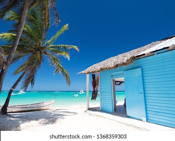 Typical caribbean house near Atlantic ocean beach with coconut palm tree. Blue and red exterior of tropical wooden hut - Powered by Shutterstock