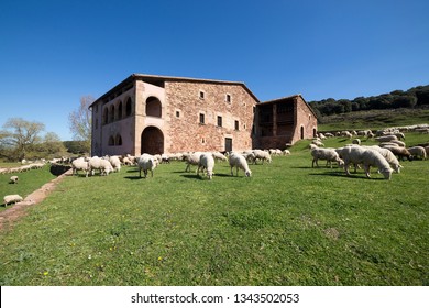 Typical catalan farm in Catalonia whith lambs
