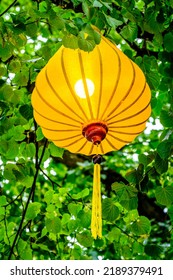 Typical Chines Lantern - Lampion - Photo