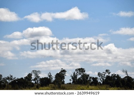 typical cloudy day as nimbus clouds form in rows during the morning in the South Burnett, Queensland, Australia
