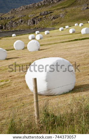 Similar – Foto Bild Marshmallow Feld IV