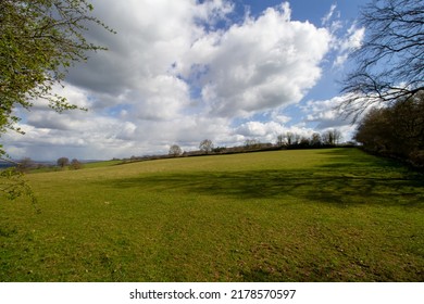 Typical countryside of Devon with green fields, gentle hills with hedges and trees with a few white clouds and a clear blue sky