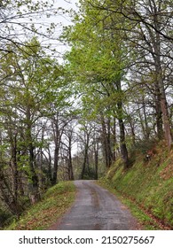 Typical Details In The French Basque Country