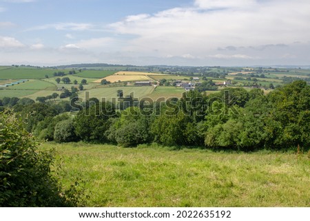 typical Devon rolling countryside with fields, hedges and blue sky and hills in the distance
