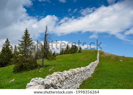 a typical Dry stone wall near Mont Tendre in the Jura Vaudoise Photo stock © 