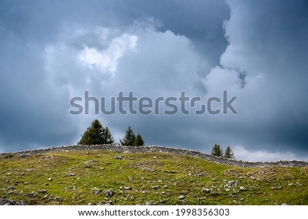 a typical Dry stone wall near Mont Tendre in the Jura Vaudoise Photo stock © 