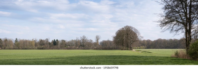 Typical Dutch flat landscape with green meadow and row of trees on the horizon and blue sky with clouds in spring. Widescreen image