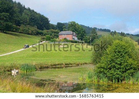 Typical English countryside in the summer with a central farmhouse on a hill with a single track, pond, fields and sheep under a blue sky