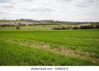 A Typical English UK Green Countryside Landscape Mixed Land Use Woods And Farming