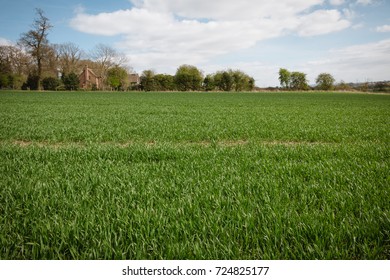 A Typical English UK Green Countryside Landscape Mixed Land Use Woods And Farming