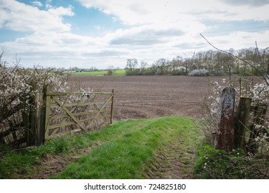 A Typical English UK Green Countryside Landscape Mixed Land Use Woods And Farming