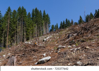 A Typical Example Of Environmental Degradation, A Damage It Through Forestry Exploitation