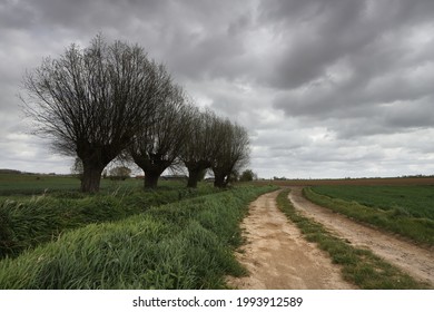 Typical flanders countryside road belgium