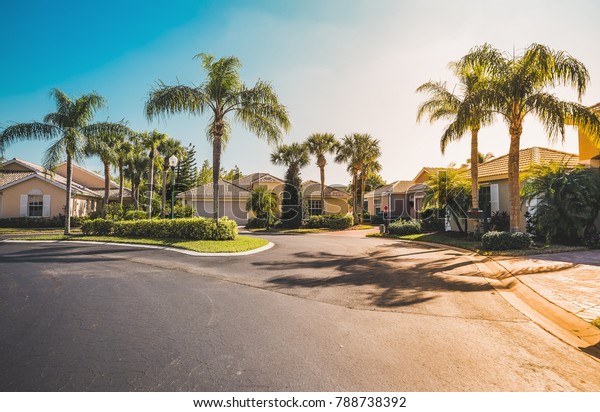 Typical gated community houses with palms, South\
Florida. Light effect\
applied
