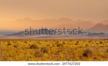 Typical landscape of Namibia between Kalahari and Namib desert - Namibia