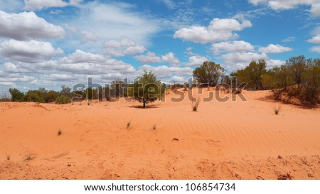 Typical landscape in the Outback of Australia.